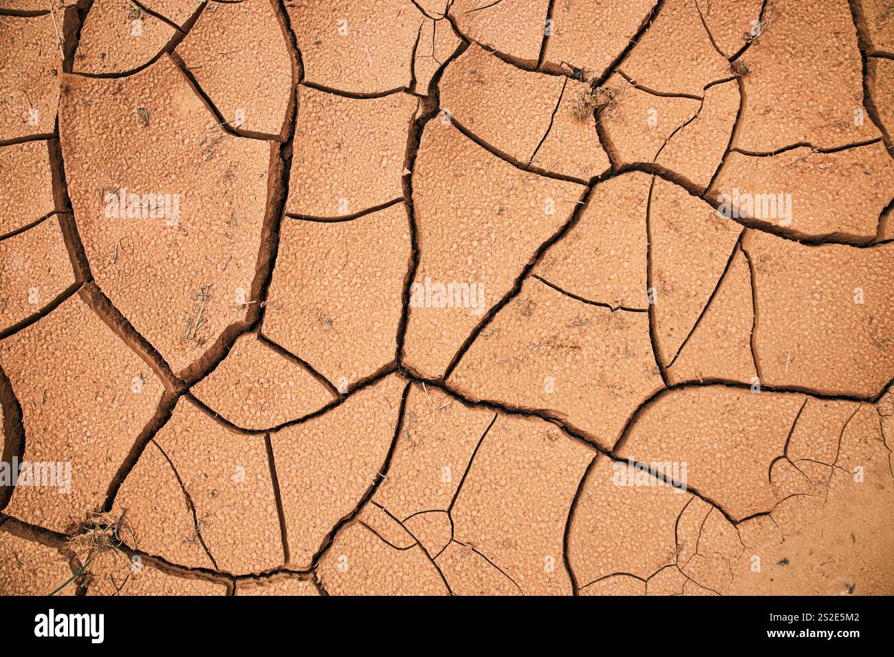 Cracks in soil hi-res stock photography and images - Alamy