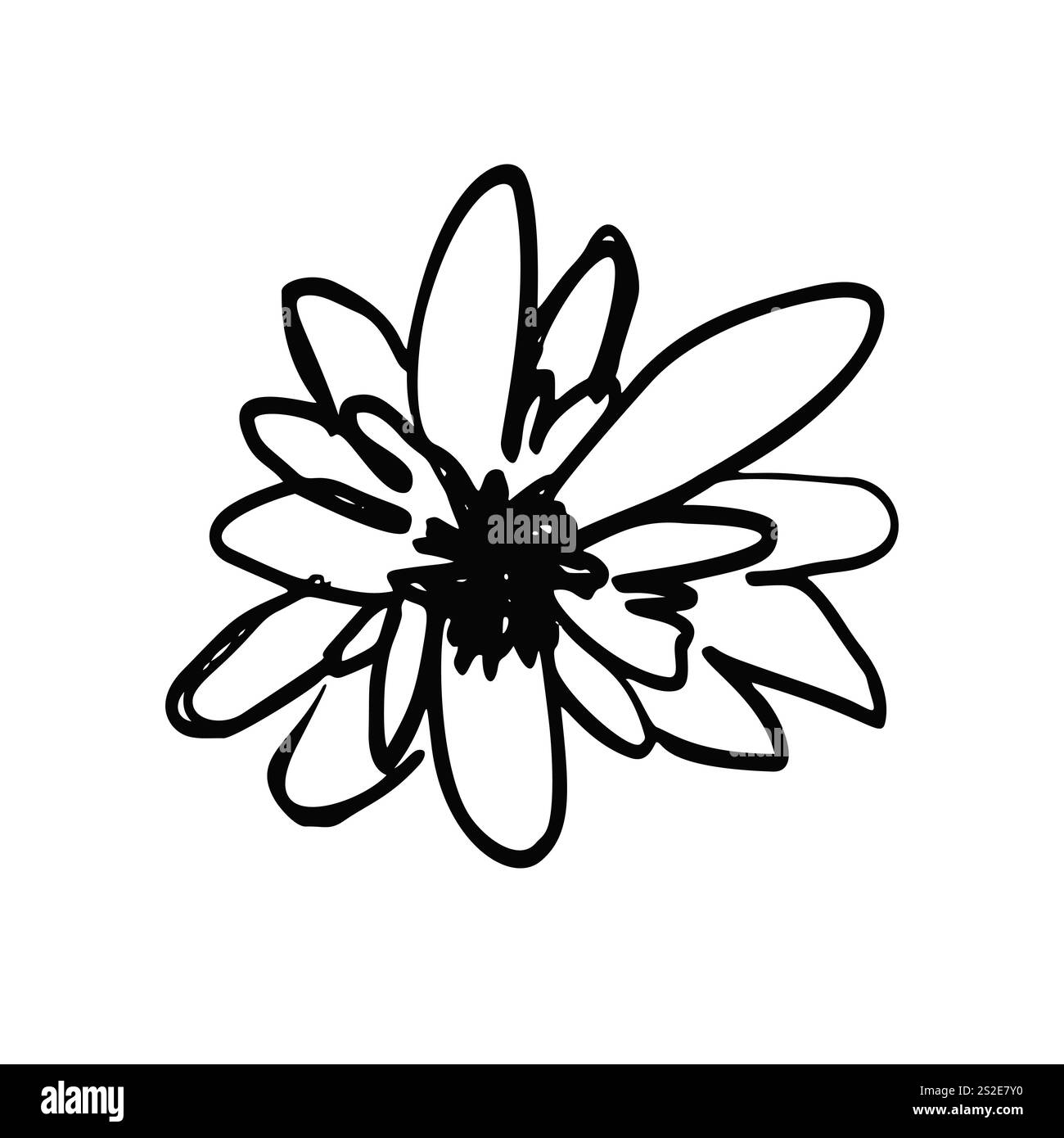 Hand drawn black ink abstract daisy flower isolated on white background ...
