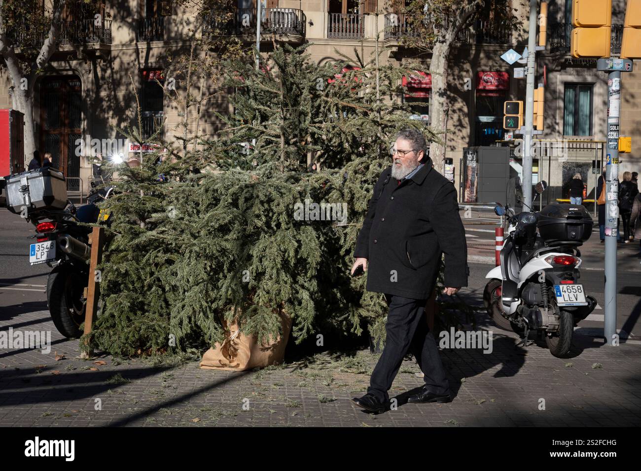 Christmas tree collection point set up in Plaza Urquinaona, on January