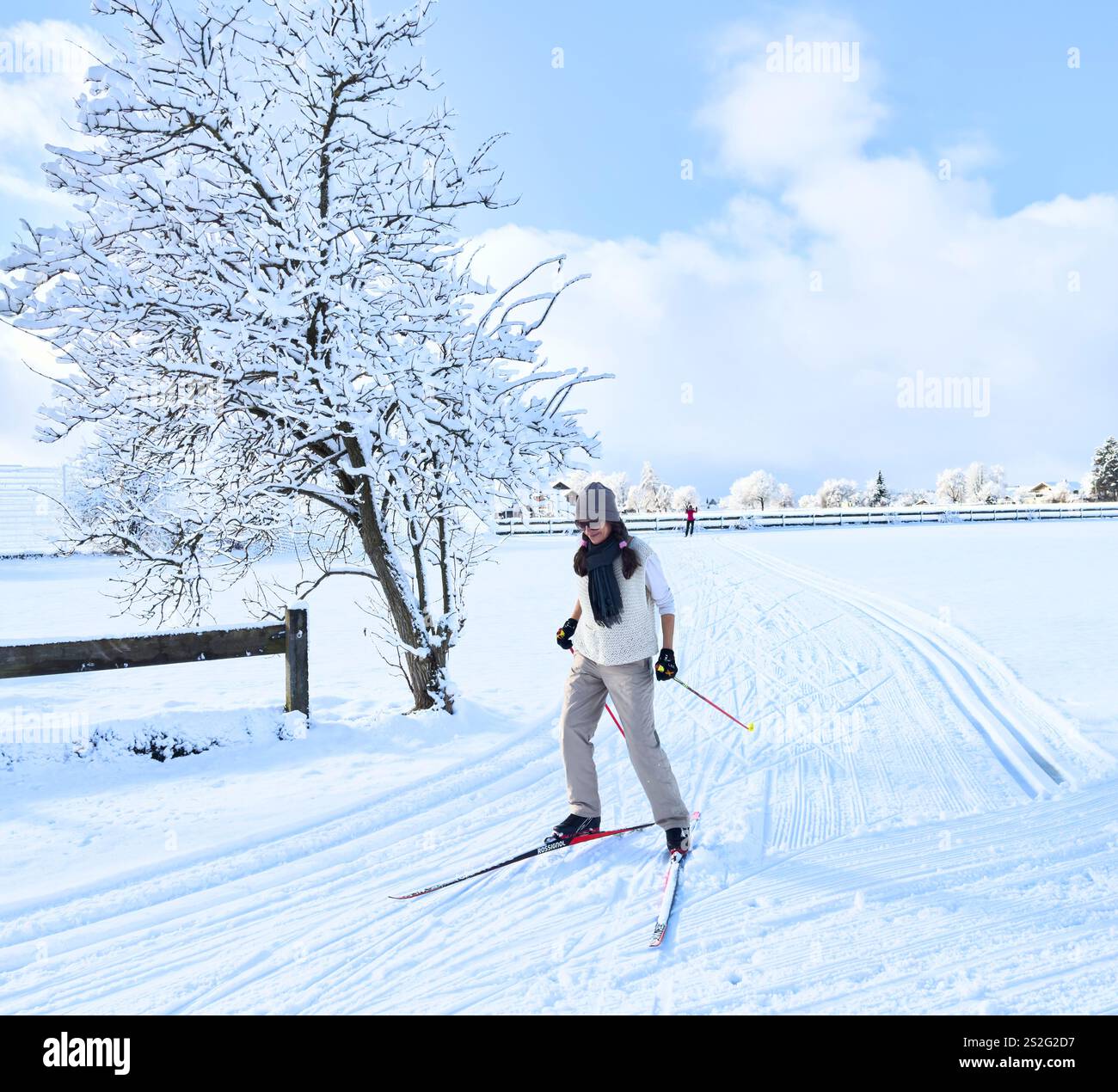 Cross-country skiers on a trail, Langlaeufer auf einer Loipe in ...