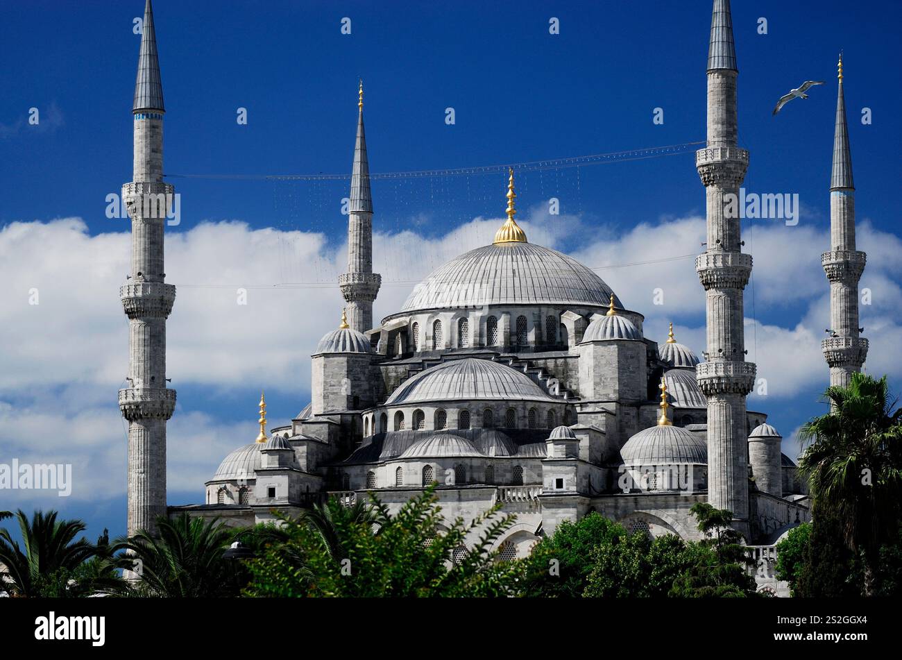 Blue Mosque of Istanbul, Turkey Stock Photo - Alamy