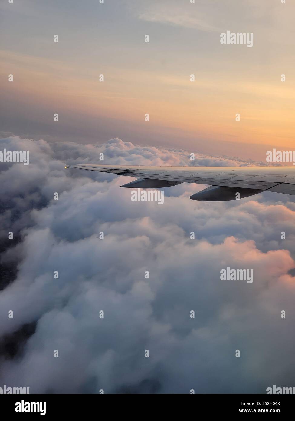 Flying in the evening sky - Smartphone Captured Stock Image Flying in the evening sky - Smartphone Captured Stock Image