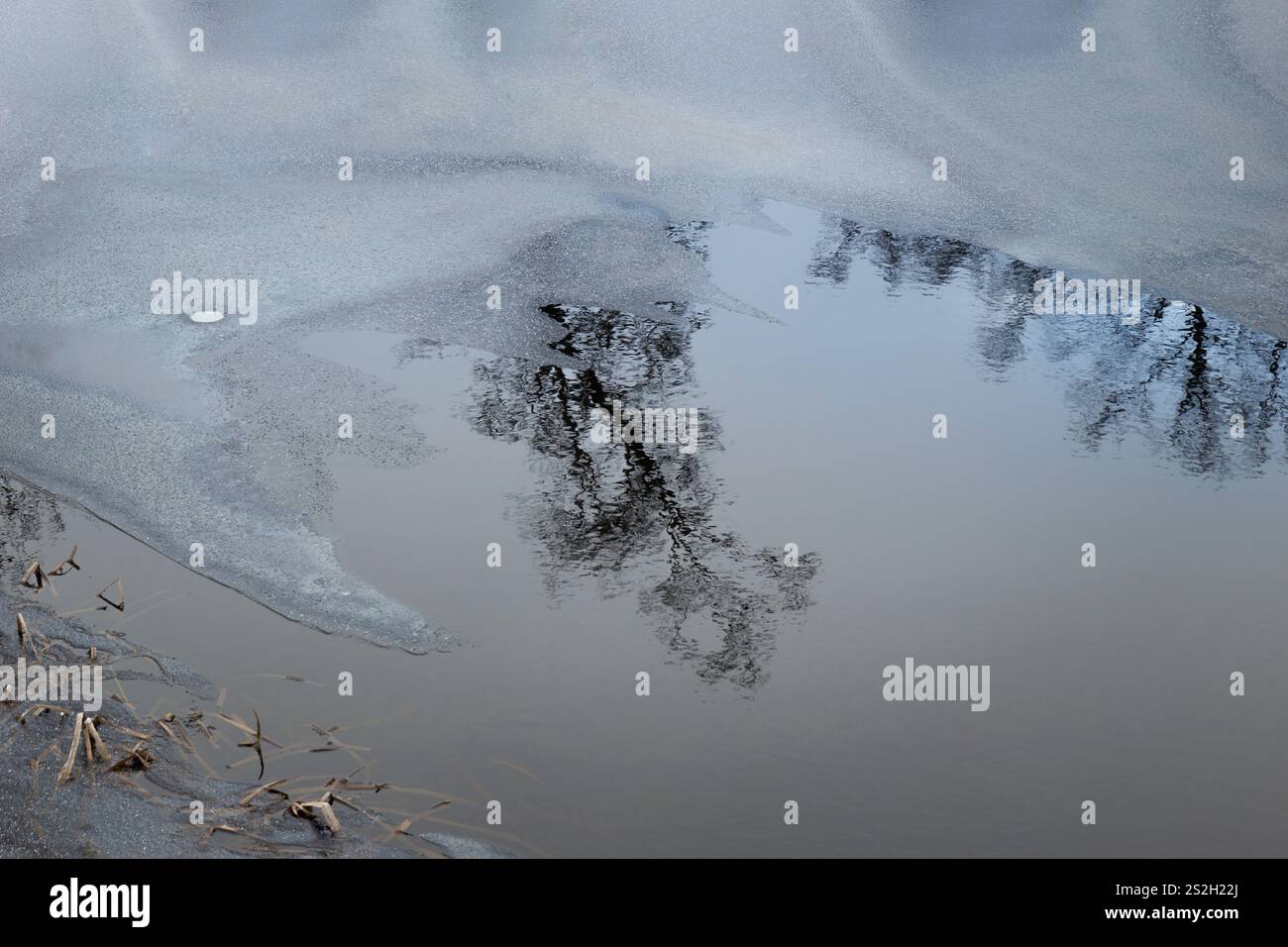 Tree reflection in water hi-res stock photography and images - Alamy