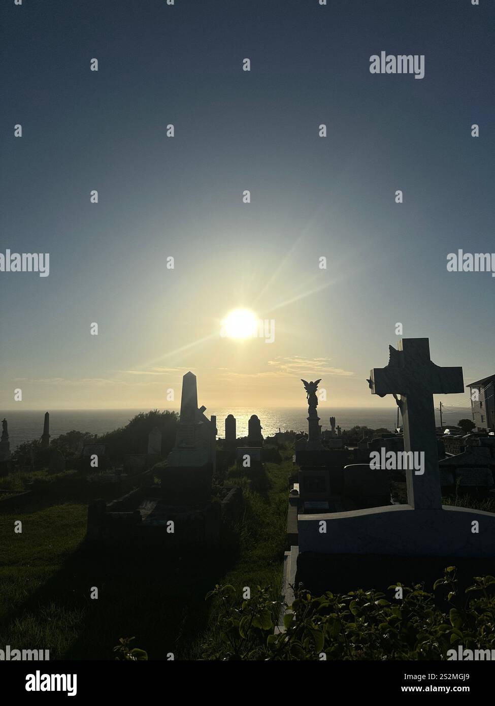 Morning light at Waverley Cemetery, Sydney - Smartphone Captured Stock Image