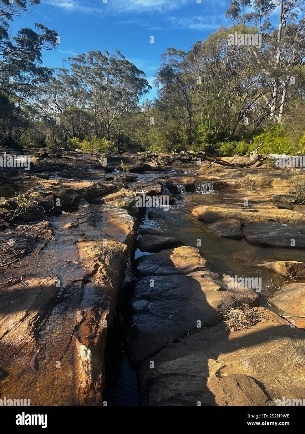 Australian bush lands national park stock imagery New South Wales - Smartphone Captured Stock Image