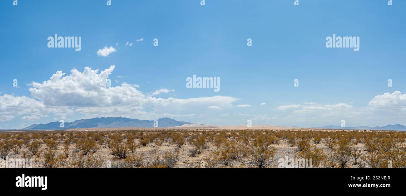 Panorama of Kelso Sand Dunes in Mojave Natural Preserve, California Stock Photo
