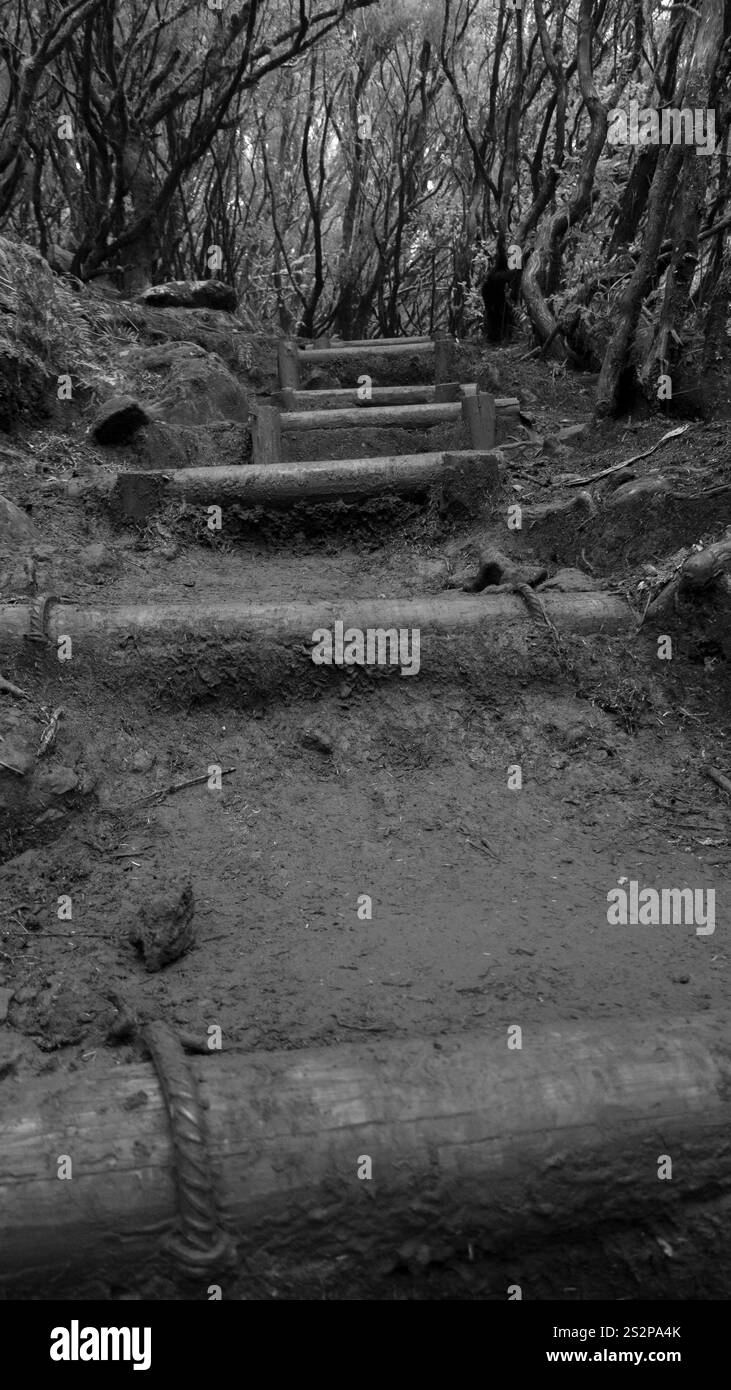 Secured trail Black and White Stock Photos & Images - Alamy