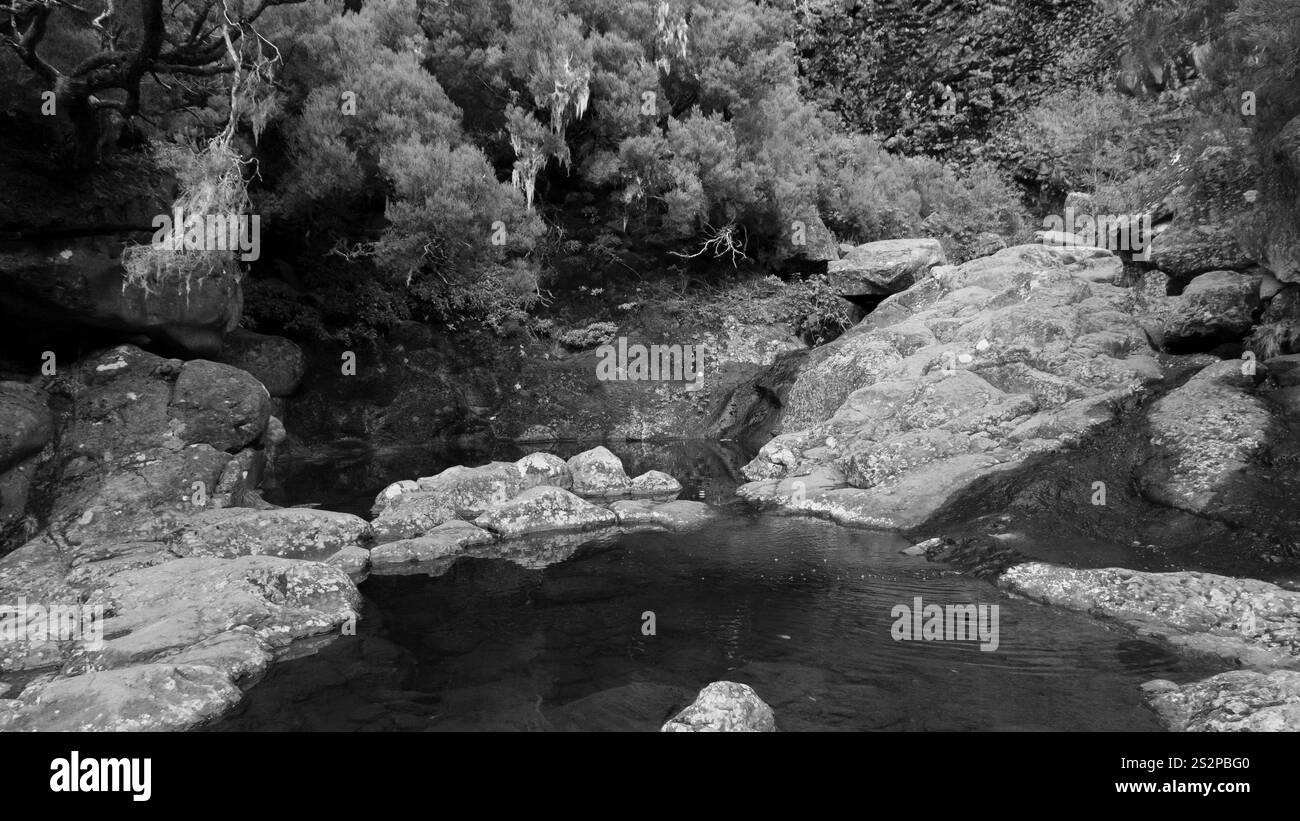 Tranquil flowing stream Black and White Stock Photos & Images - Alamy