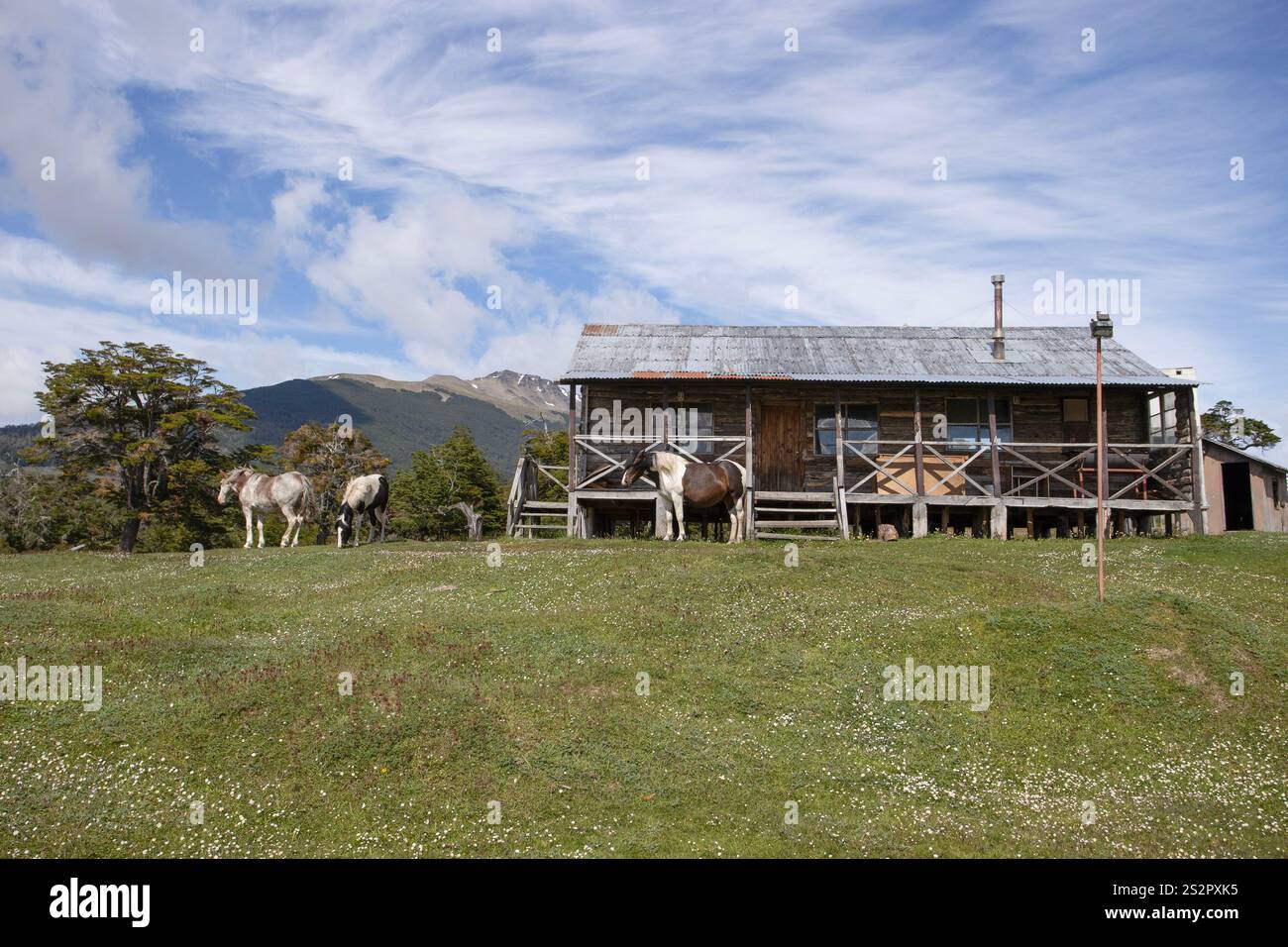A small ranch house with horses outside, Puerto Williams Chile. Stock Photo