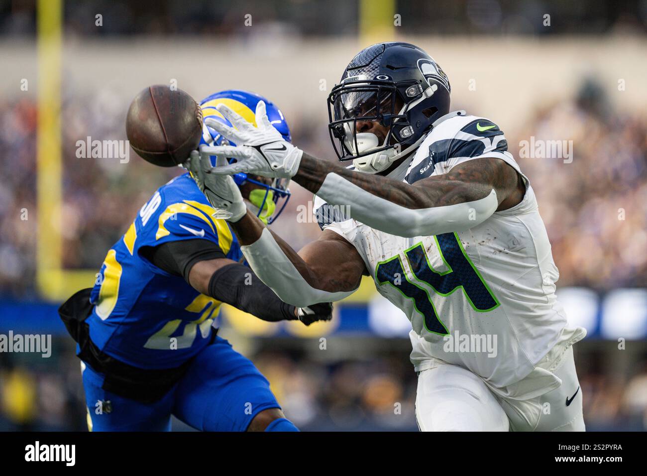 Emmanuel forbes rams hi-res stock photography and images - Alamy