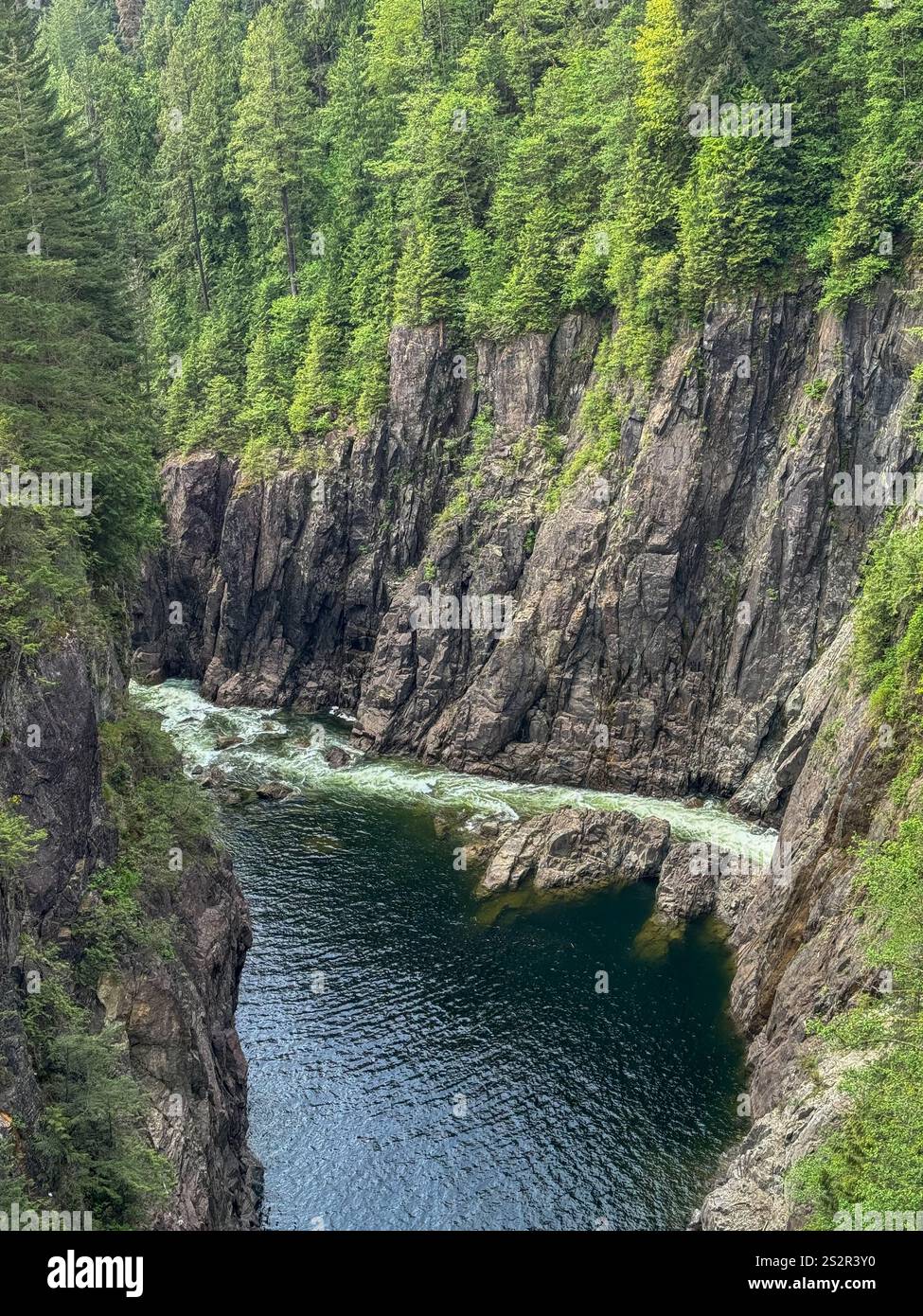 The Capilano River at the base of the Cleveland Dam in Capilano Regional Park in North Vancouver, British Columbia, Canada. - Smartphone Captured Stock Image