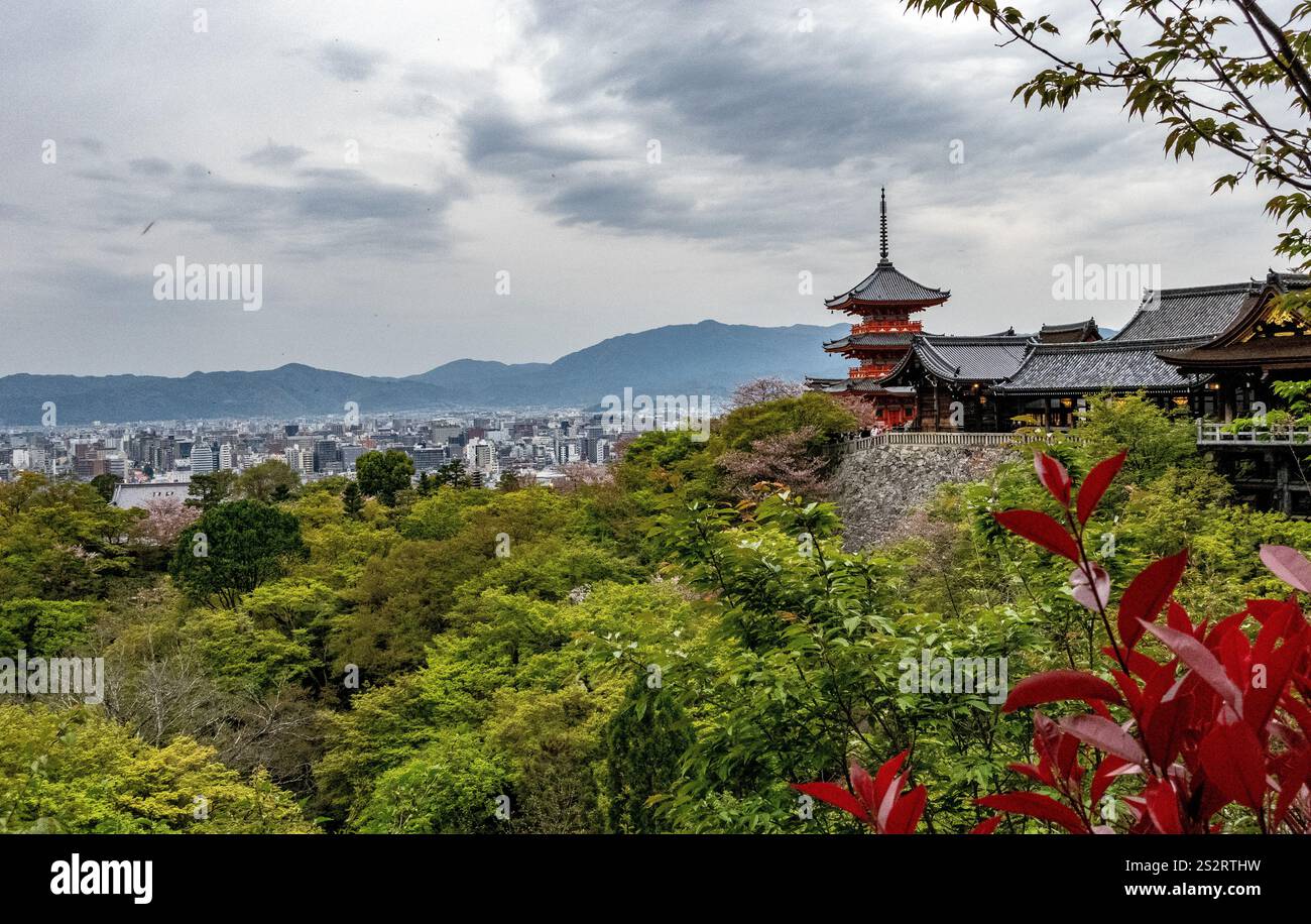 Kyoto's most famous view. Hanami. Japan. Red pagoda. Pink flowers ...