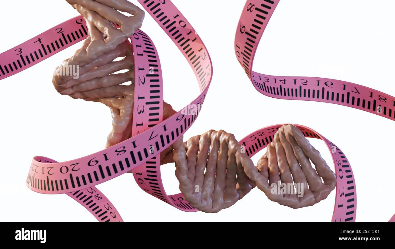 A 3d rendering of a measuring tape is wrapped around the biological DNA ...