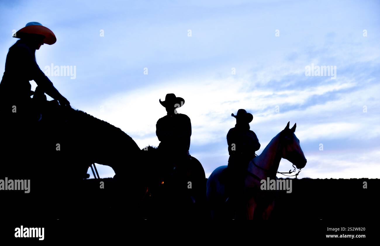 Silhouette cowgirl riding on open plain in western at sunset in blue Stock  Photo - Alamy, image size:1300x842