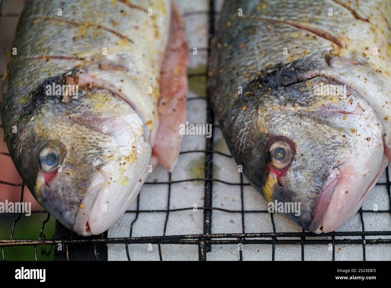 Fish mesh hi-res stock photography and images - Alamy