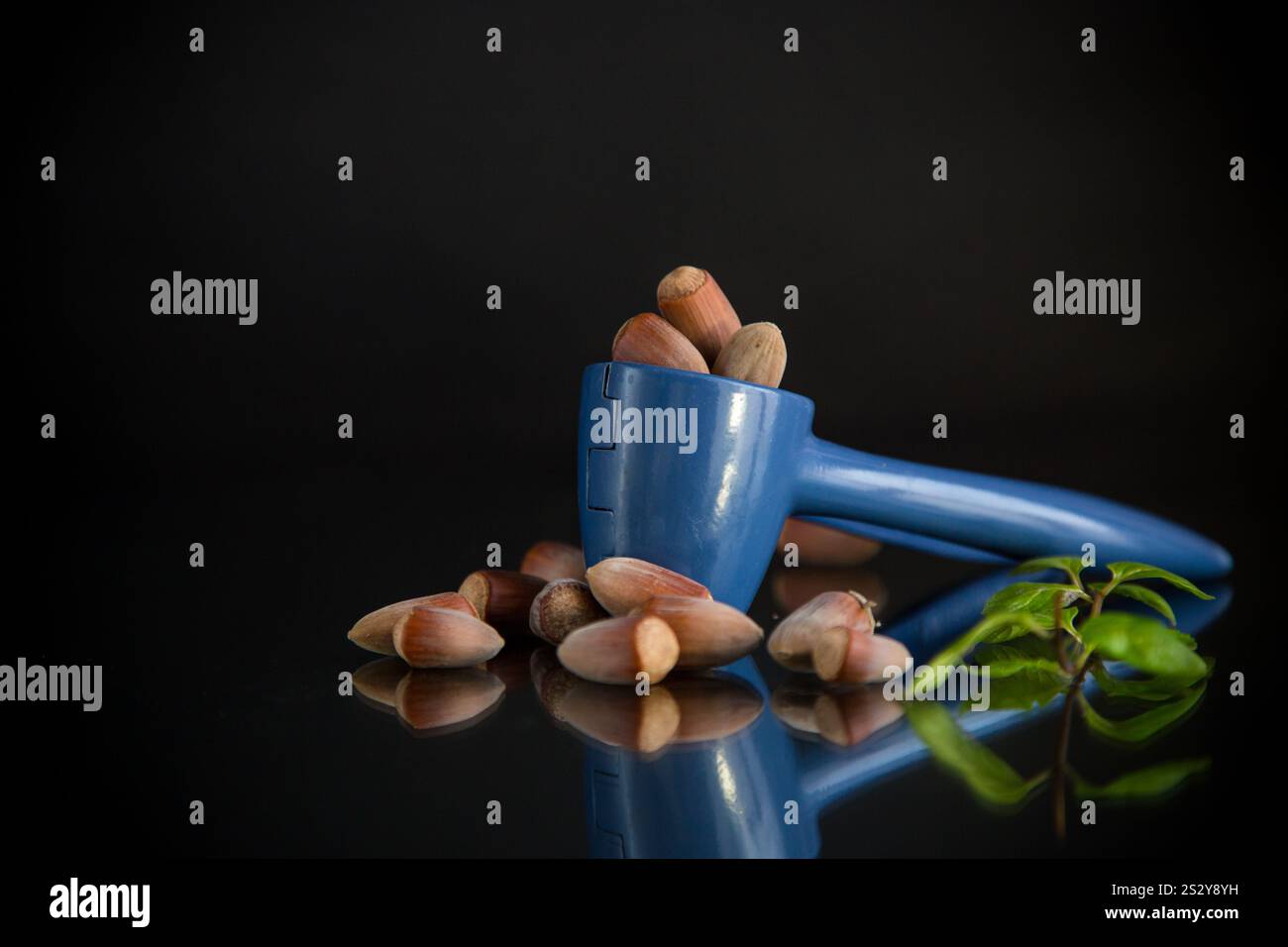hazelnuts with nutcracker isolated on black background. Stock Photo
