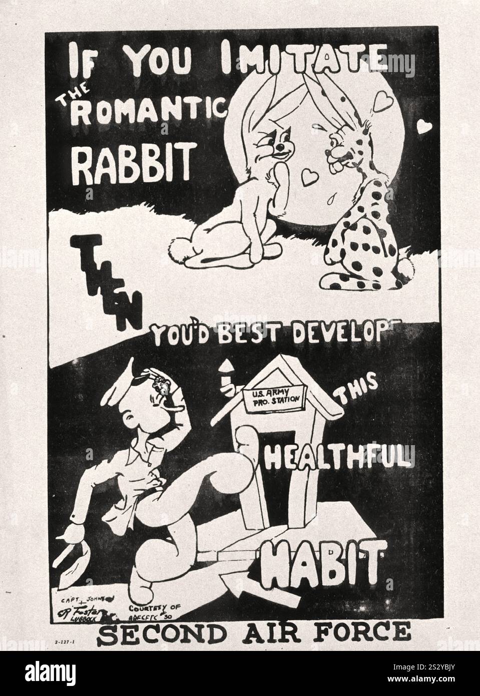 If You Imitate the Romantic Rabbit, Then You'd Best Develop this ...