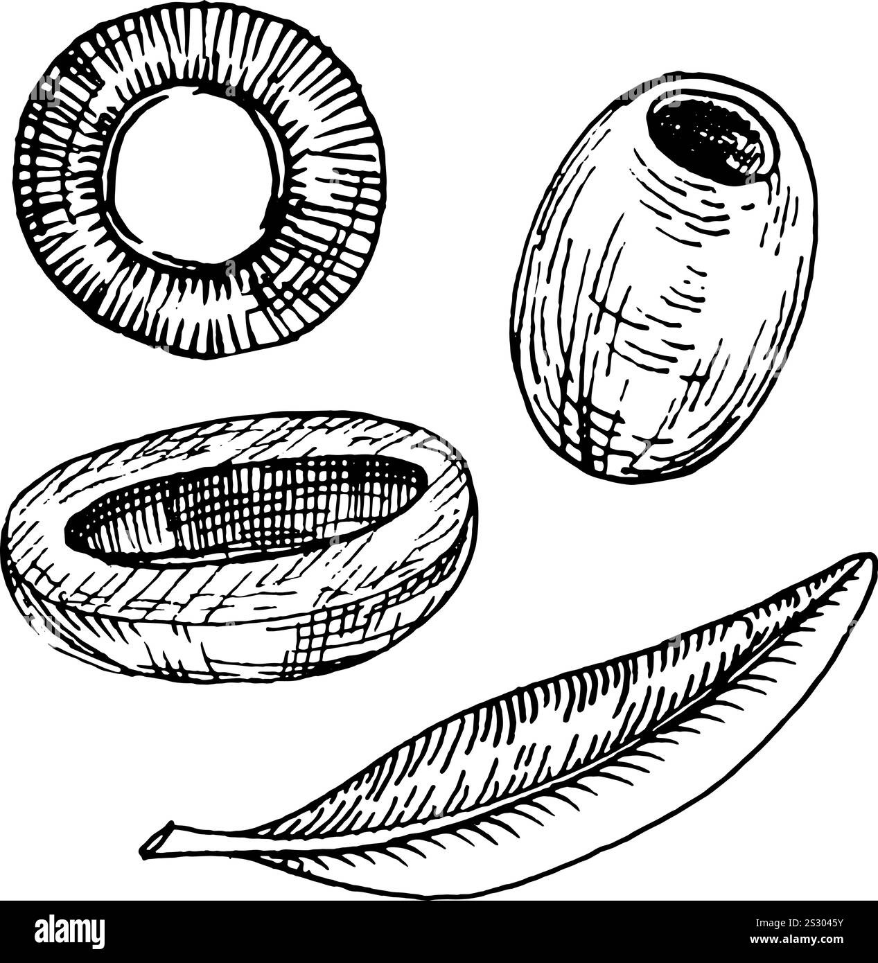 Olive branch and olives with and without pits, black and white drawing ...