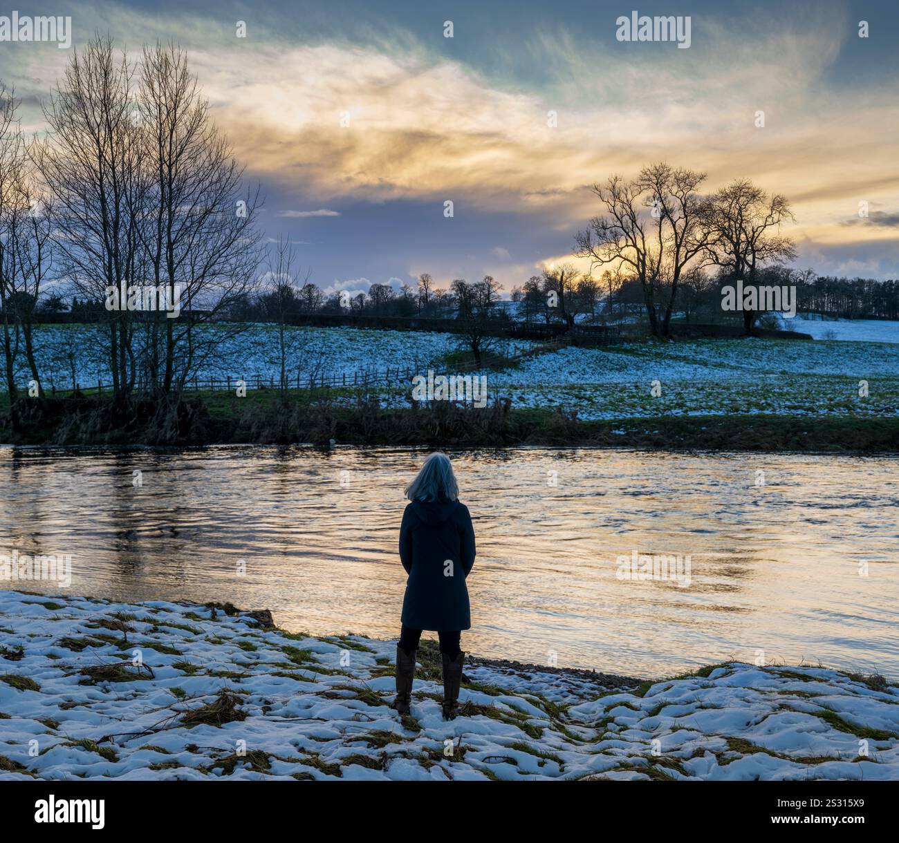 A mature female looking out over a wintery scene close to the River Ribble, Clitheroe, Lancashire. Stock Photo