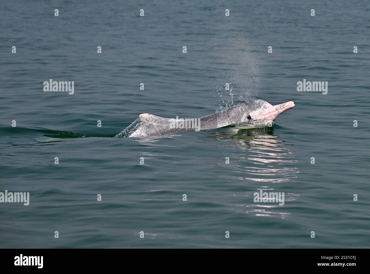 QINZHOU, Jan. 8, 2025 (Xinhua) -- This photo taken on Jan. 6, 2025 ...