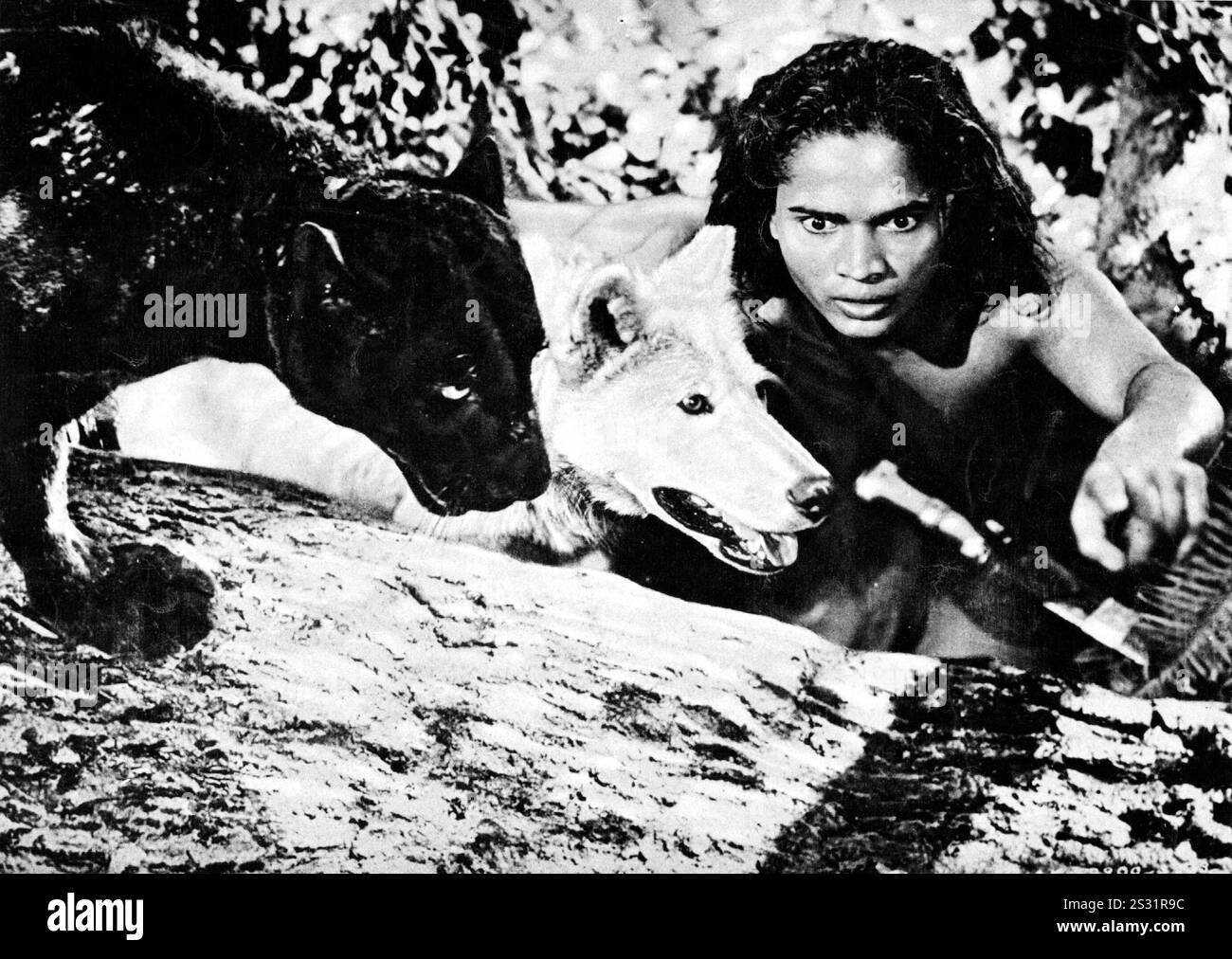 JUNGLE BOOK SABU AS MOWGLI     Date: 1942 Stock Photo