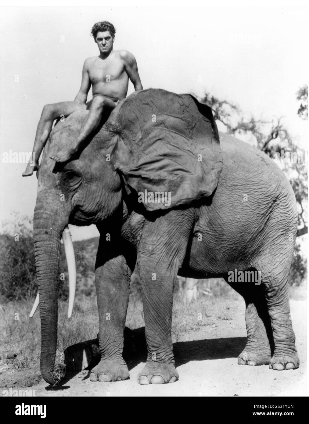 TARZAN THE APE MAN JOHNNY WEISSMULLER AN MGM FILM Date