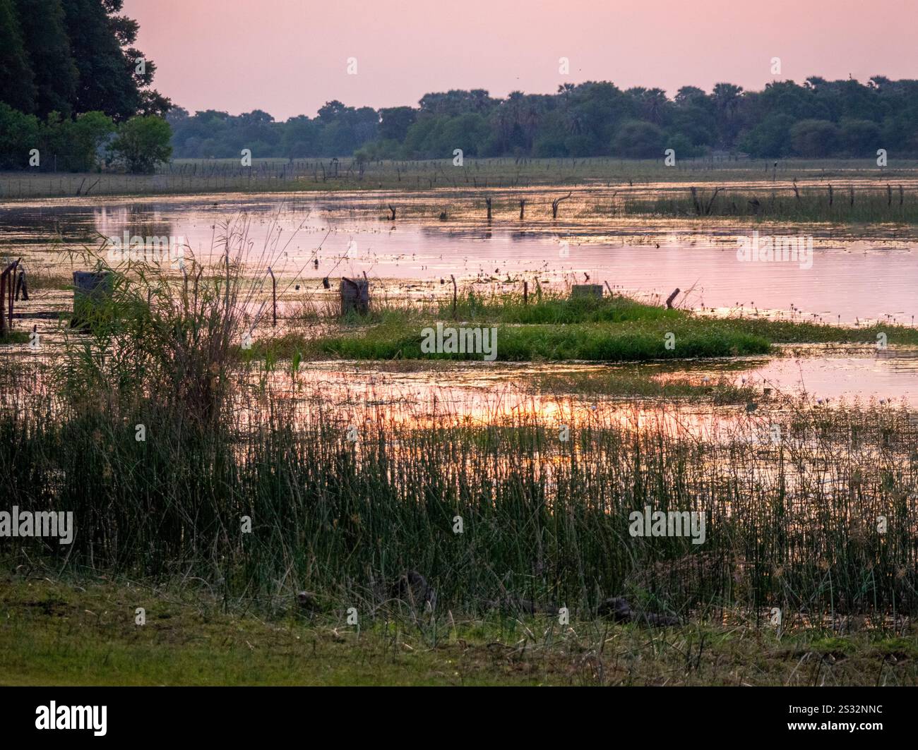Evening atmosphere on the Thamalkane River near Thamalkane Lodge ...