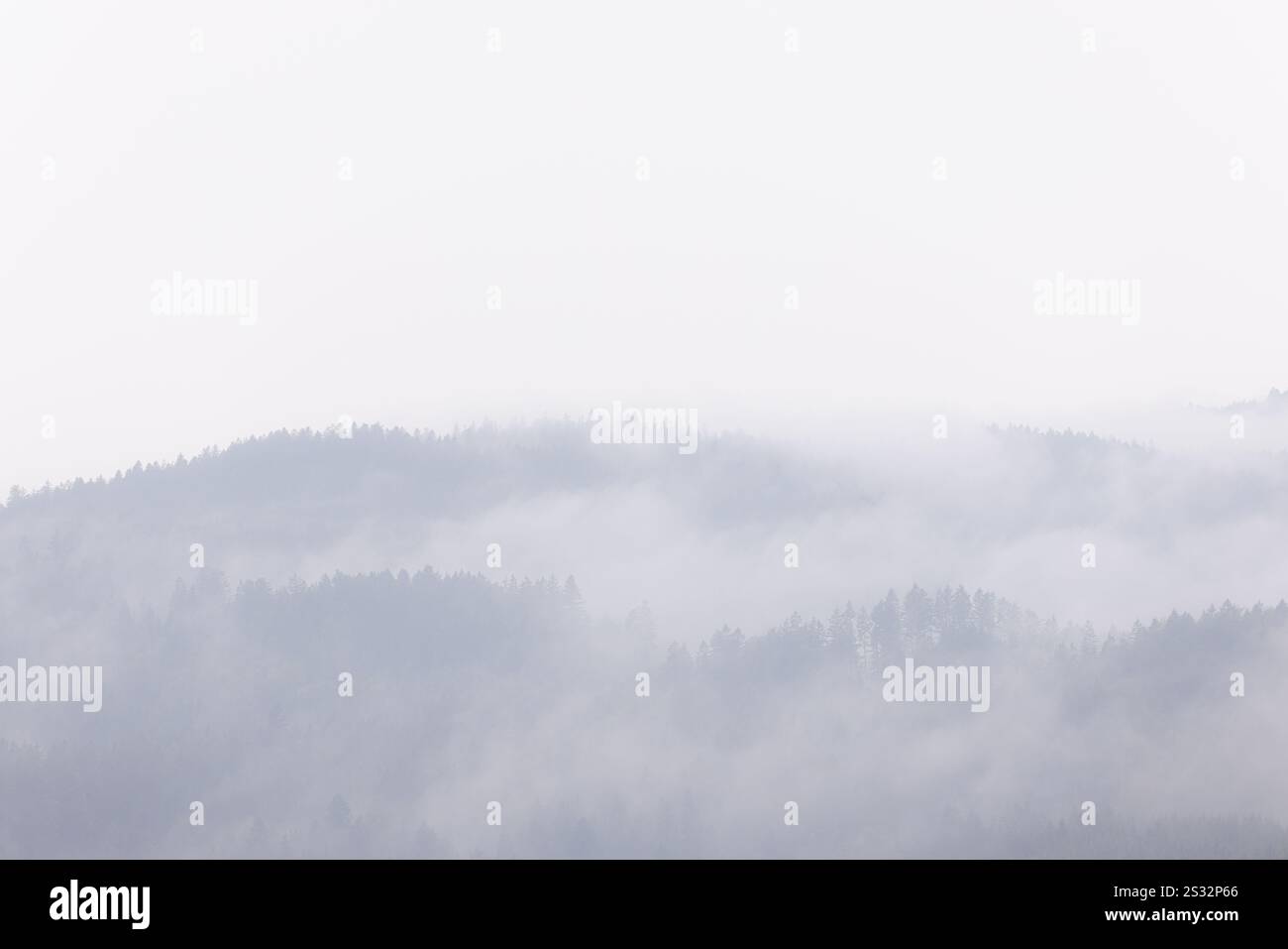 Nebel im bayerischen Wald Stock Photo