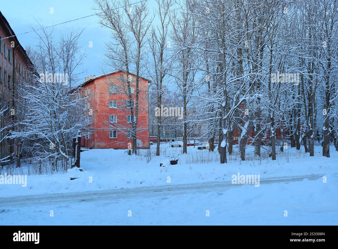 This scene captures a beautiful winter landscape featuring snowy trees ...