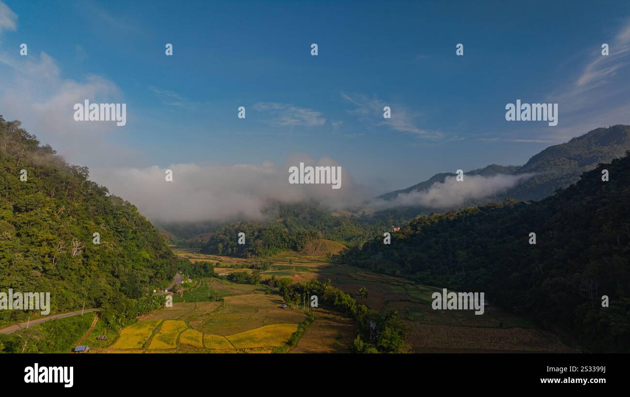 An aerial view of terraced rice fields in a charming valley of golden ...