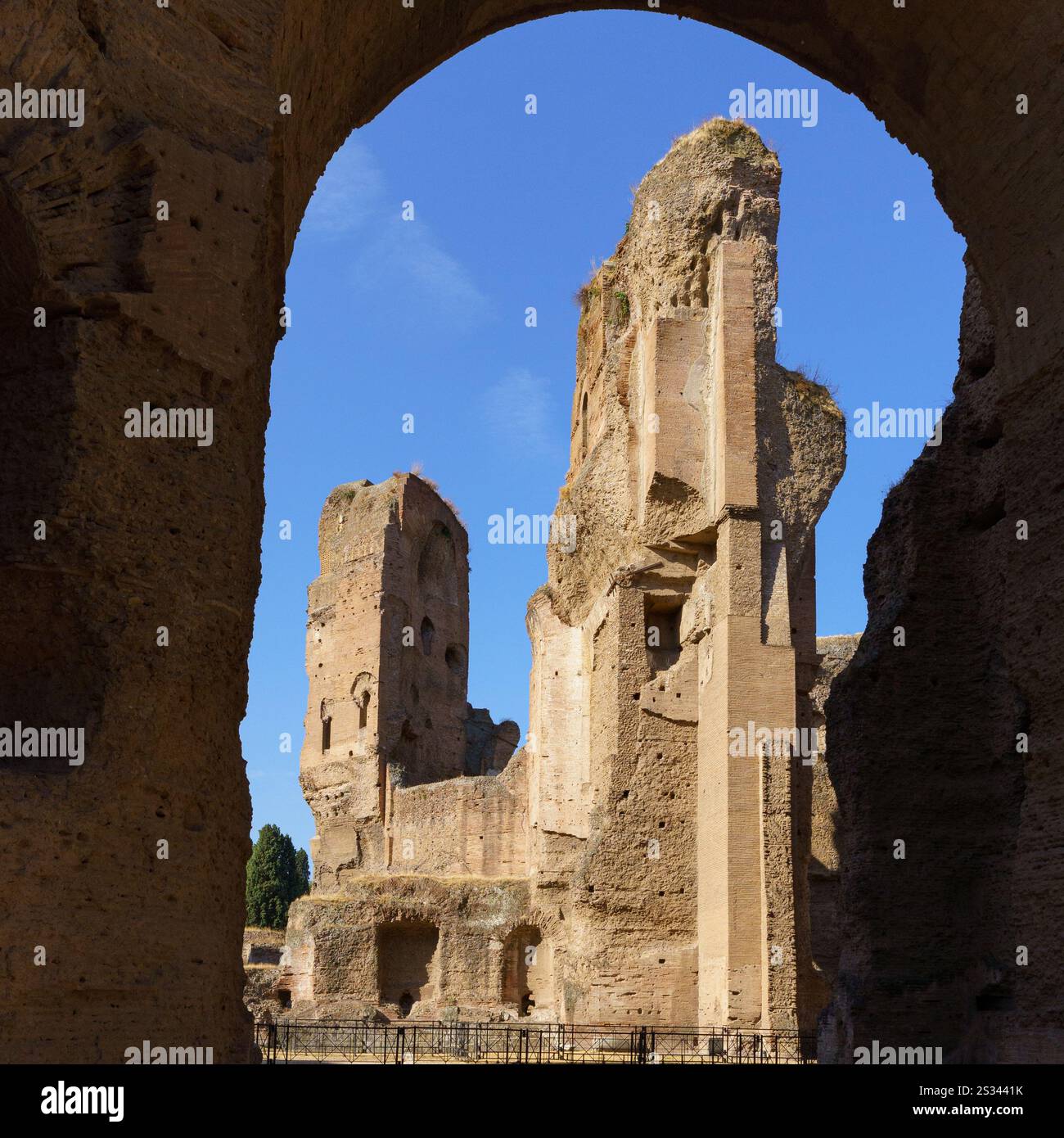remains-of-the-of-baths-of-caracalla-terme-di-caracalla-which-used-to-be-public-baths-in-the-3rd-century-of-ancient-roman-rome-italy-2S3441K.jpg
