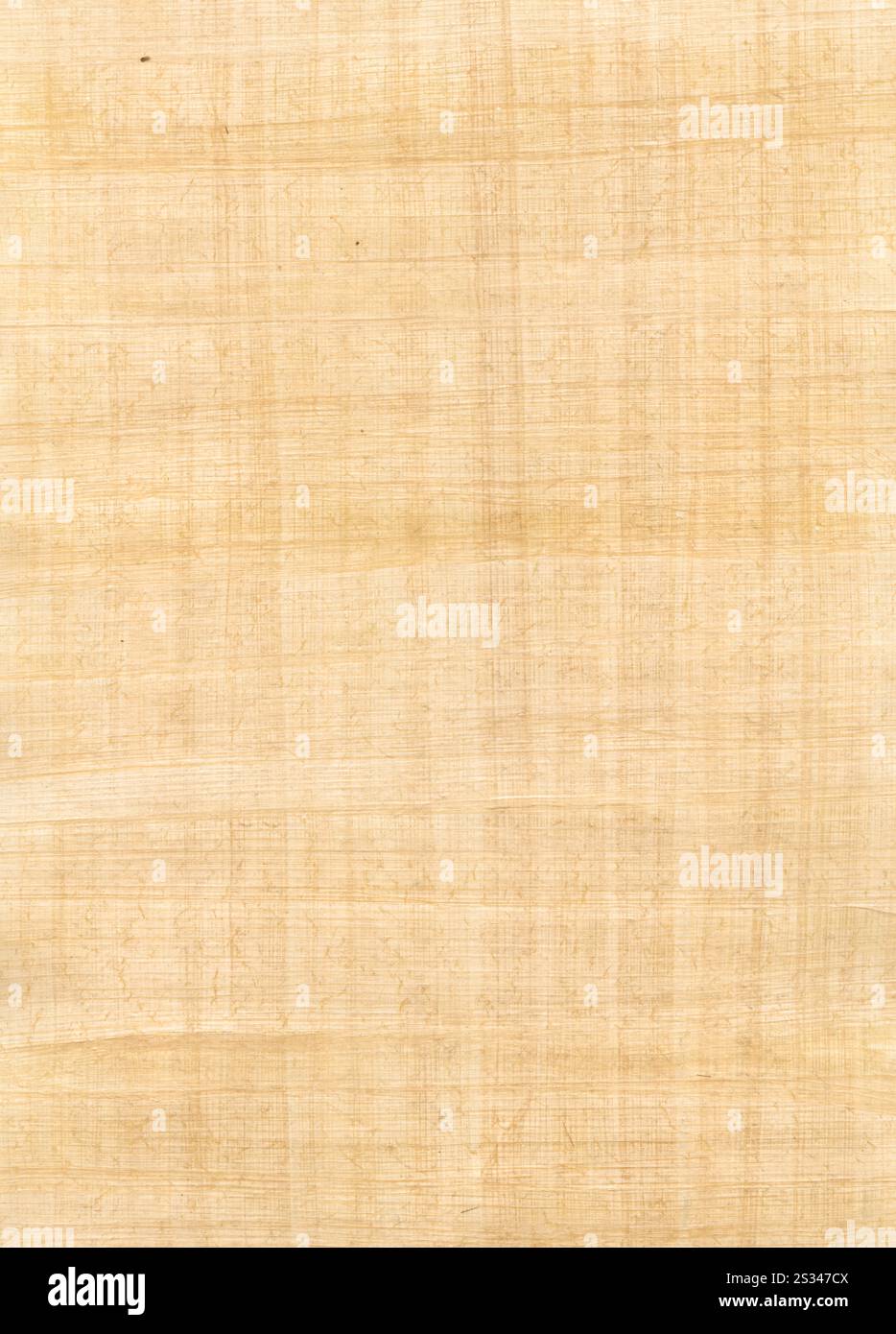 Old brown papyrus background texture. Vintage wallpaper Stock Photo