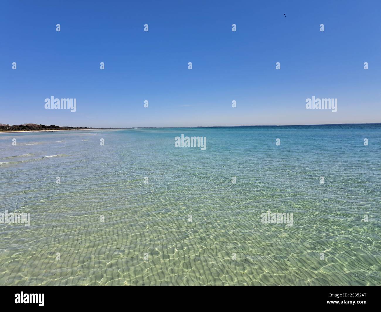 Sea - Smartphone Captured Stock Image
