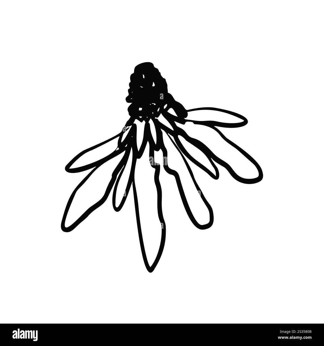 Hand drawn black ink abstract daisy flower isolated on white background ...