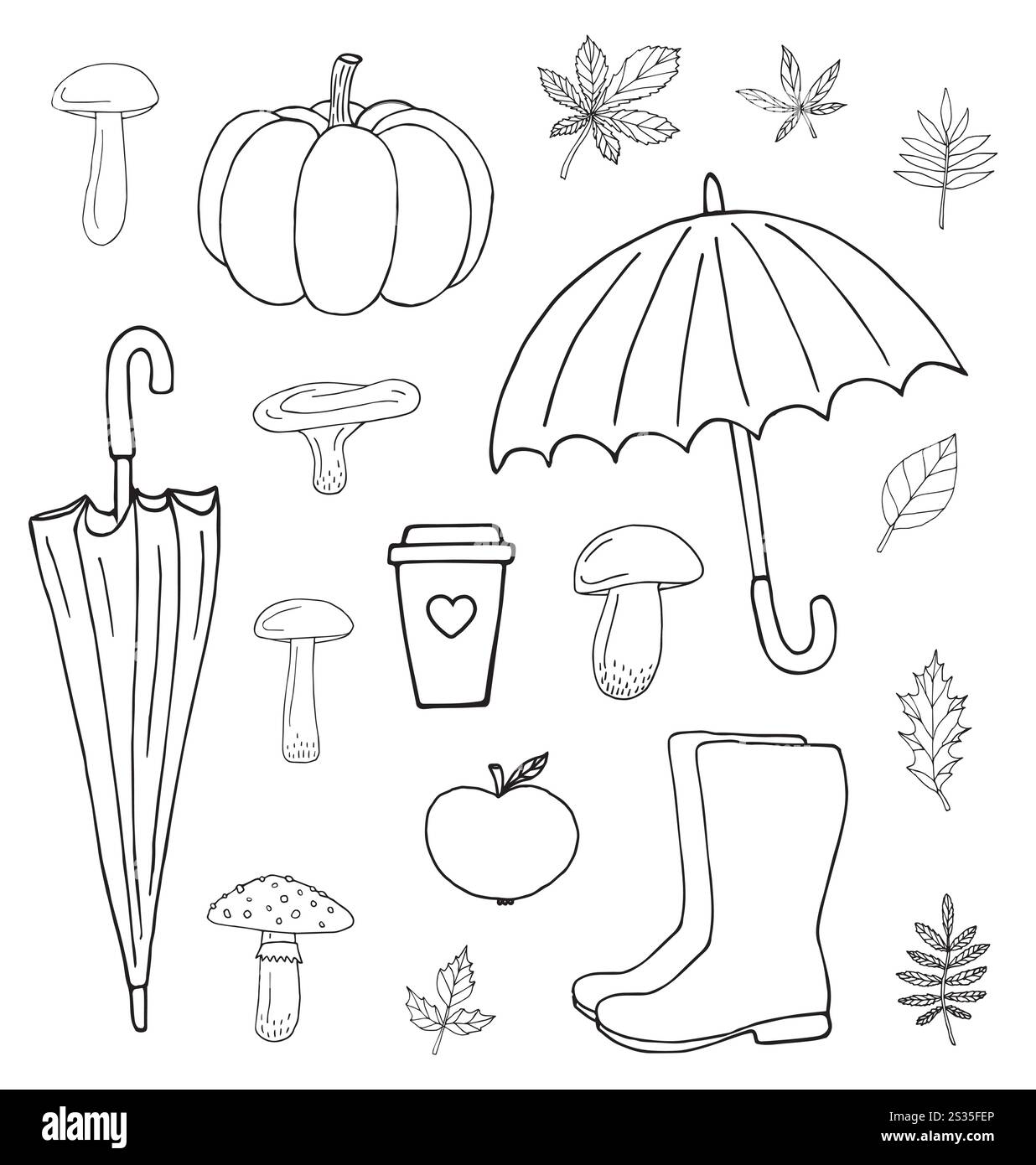 Vector set bundle of hand drawn doodle sketch autumn elements isolated ...