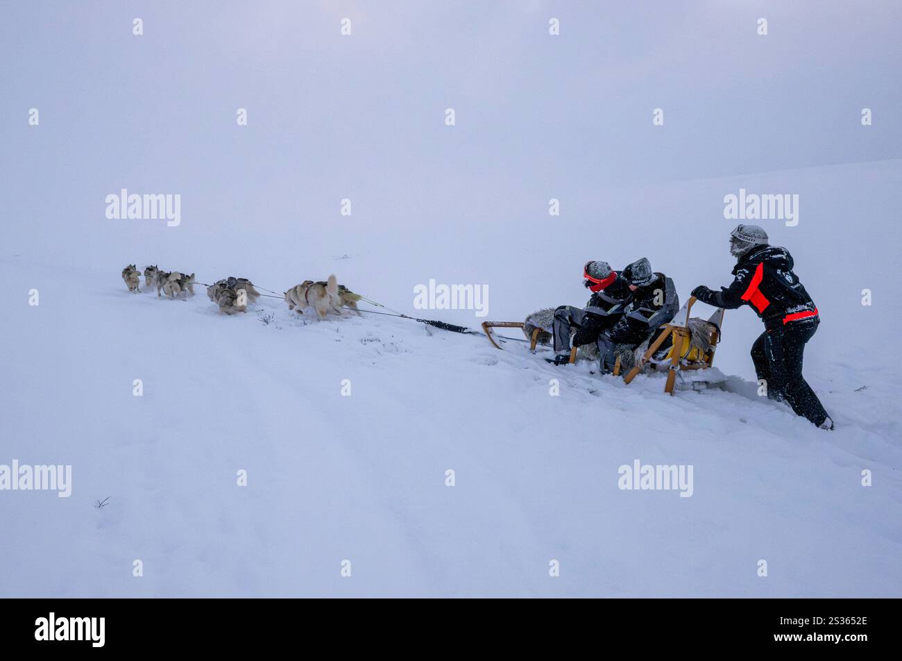 Husky Riders Icelandic sledding tradition hi-res stock photography and images - Alamy