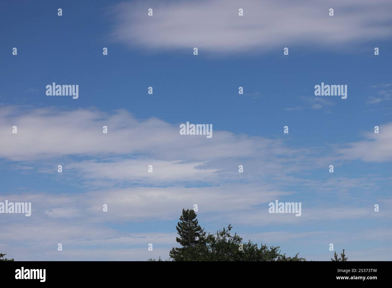 scattered thin white clouds against deep blue sky over trees Stock Photo