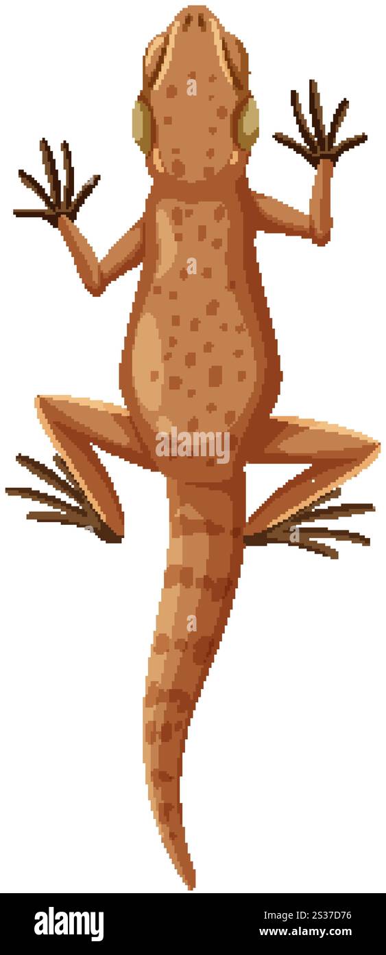 Lizard science Stock Vector Images - Alamy