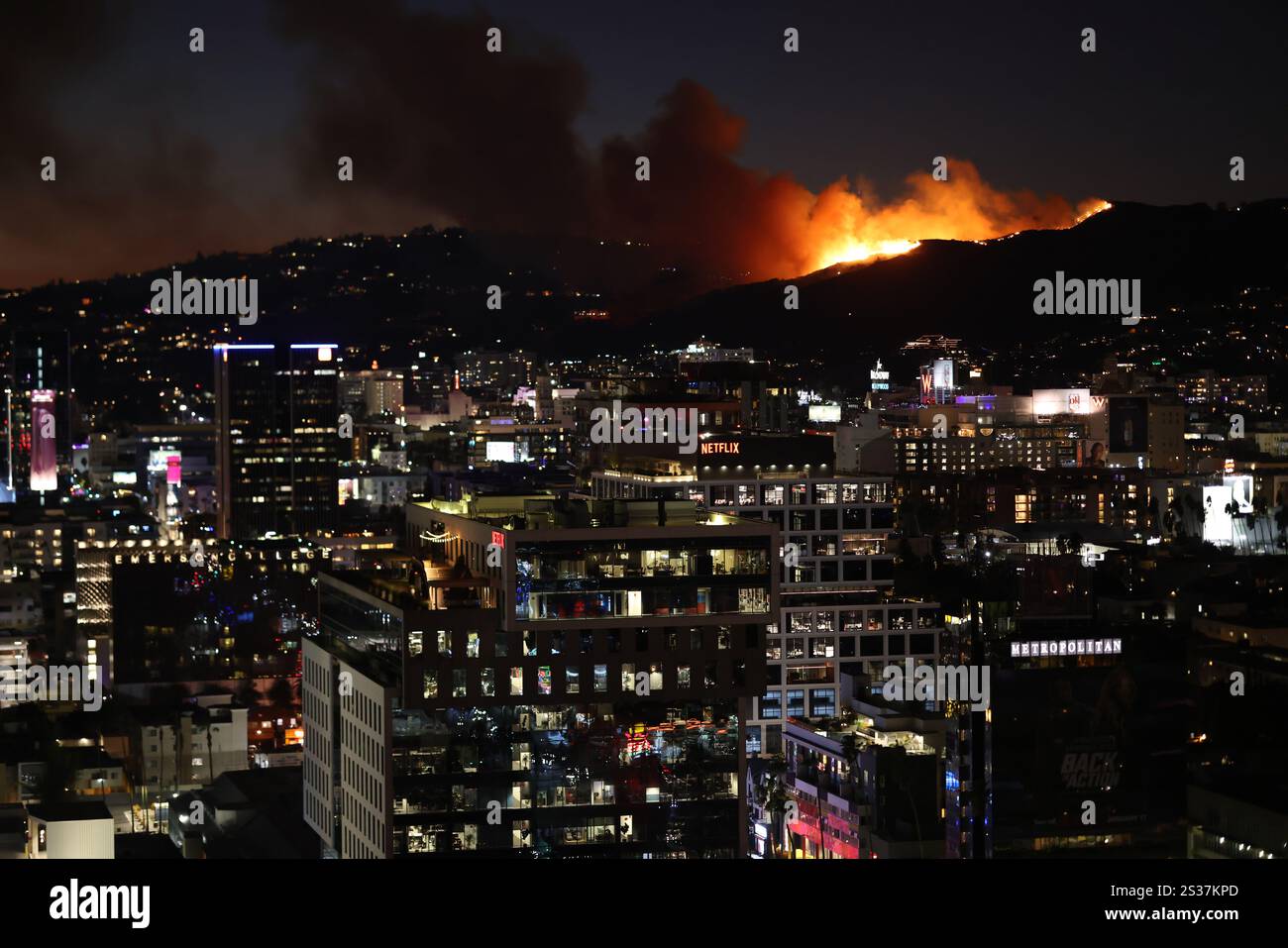 Los Angeles CA. 8th Jan, 2025. Sunset Fire erupts in the Hollywood(02)