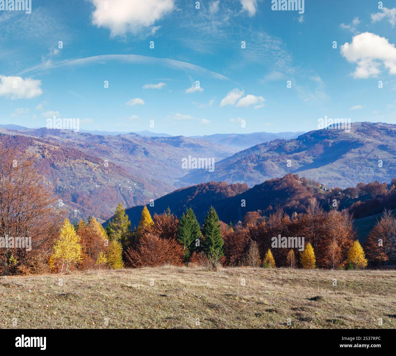 Colorful trees on slope and autumn misty mountain behind Stock Photo ...