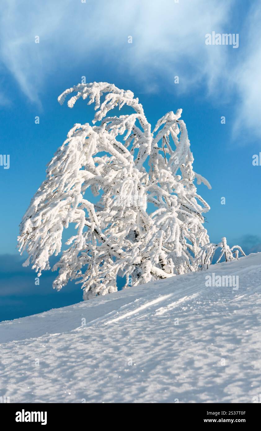Rime hi-res stock photography and images - Alamy