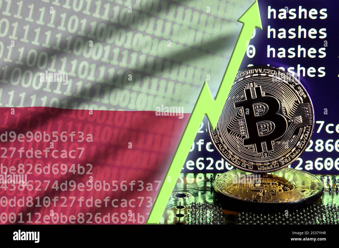 Bitcoin poland hi-res stock photography and images - Alamy