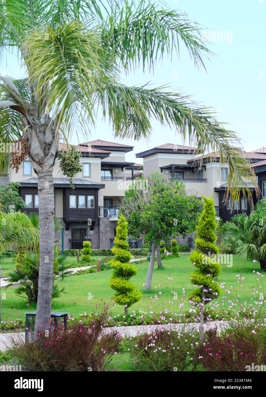 landscaping garden tropical palm trees and houses. landscaping garden Stock Photo