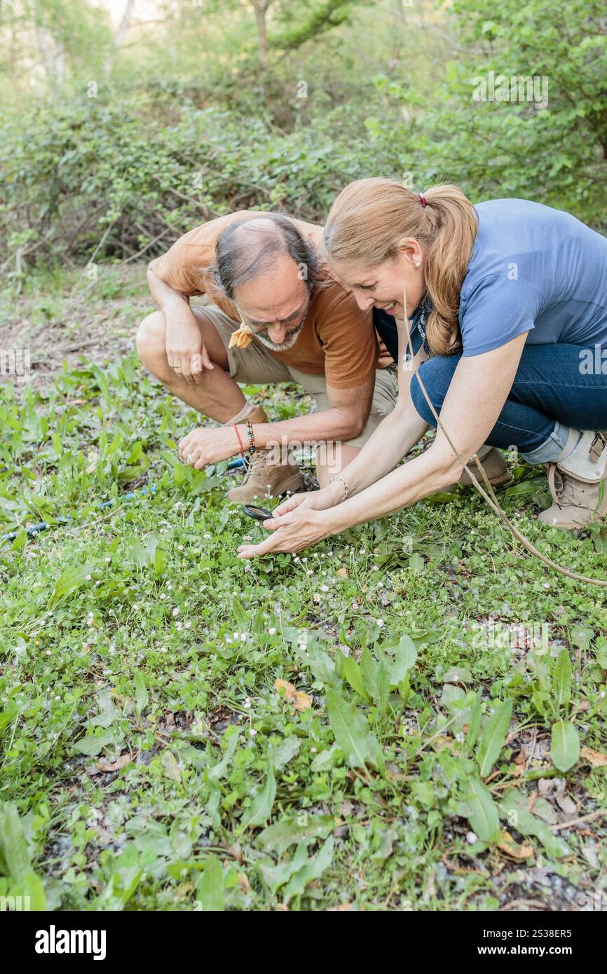 Biologists examining plants during fieldwork in madrid Stock Photo - Alamy