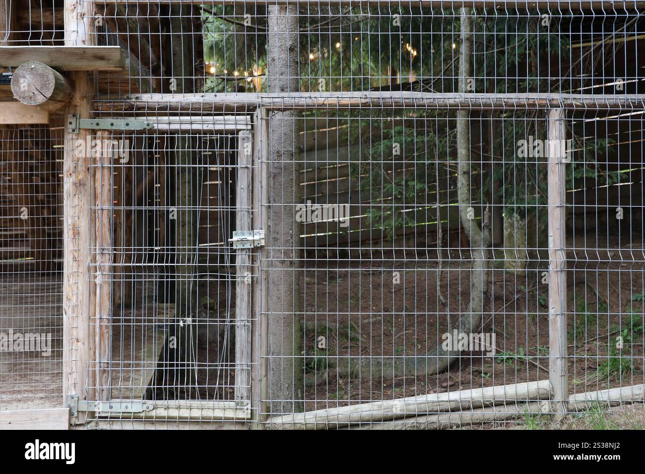 Metal grating and small entrance in zoo territory outdoors close up. Metal grating and small entrance in zoo territory outdoors Stock Photo