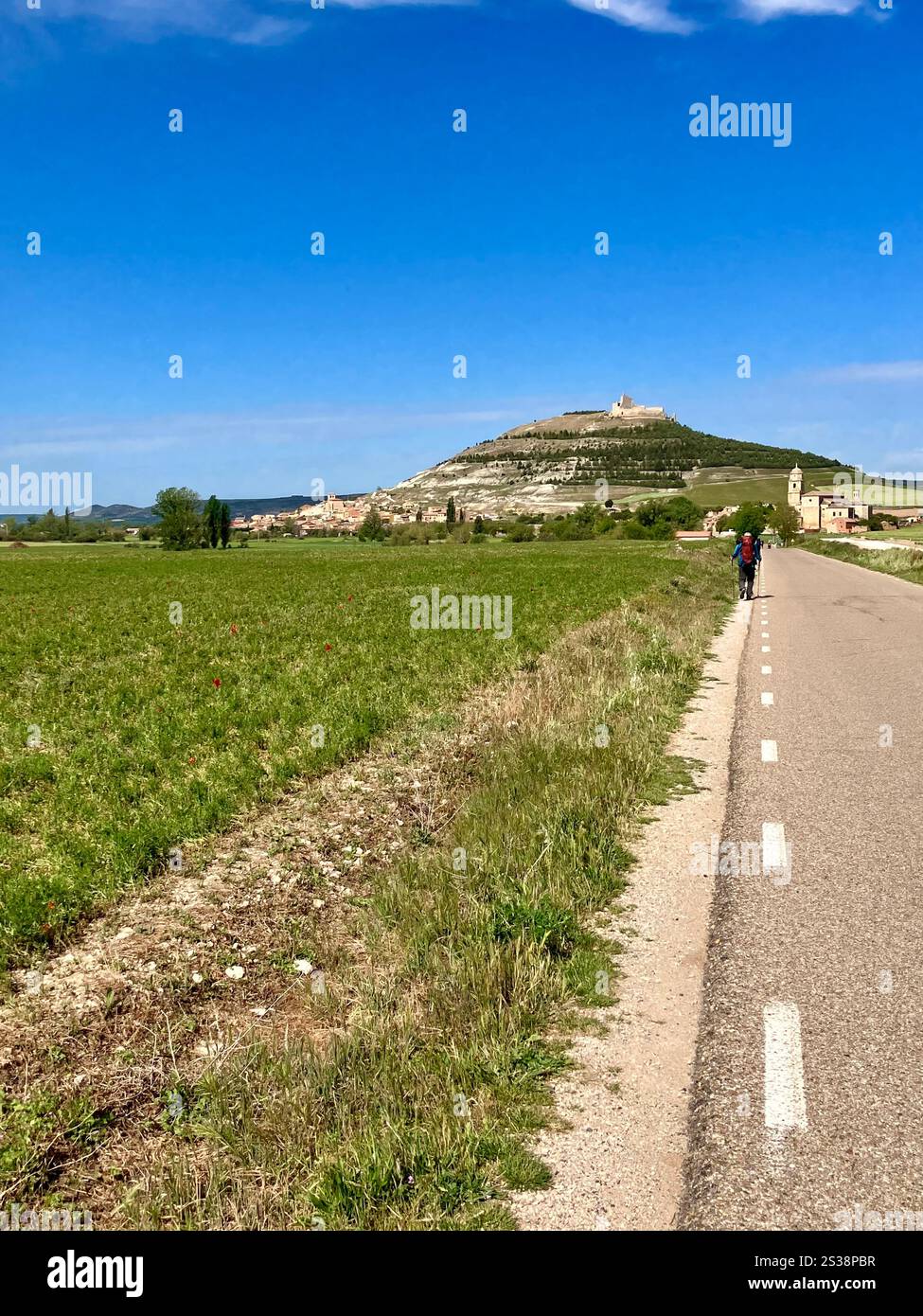 Pilgrims Approaching Castrojeriz on the Camino Francés - Smartphone Captured Stock Image