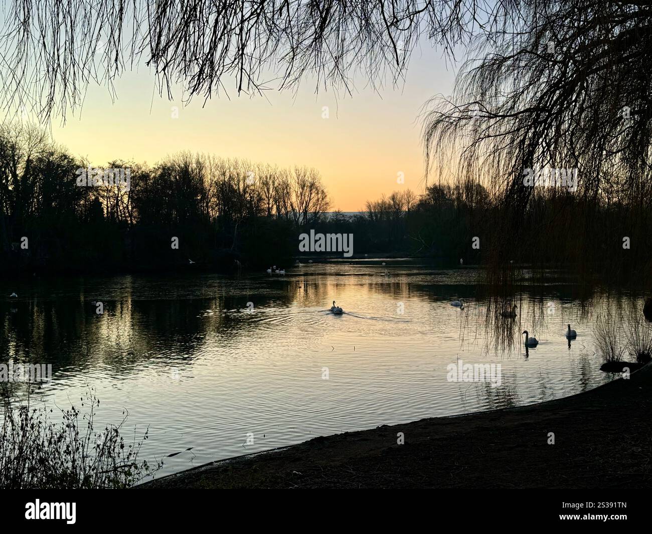 Sunrise on a winter's morning over Liden Lagoon in Swindon - Smartphone Captured Stock Image