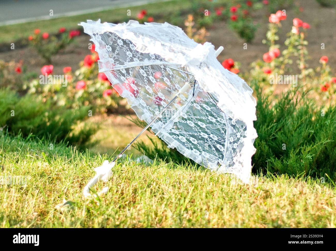 Untitled, image size:1300x974