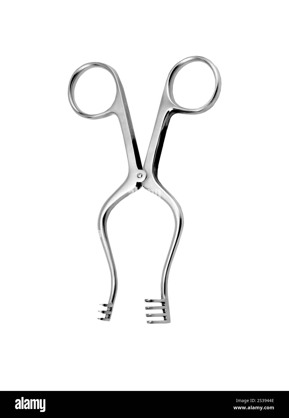 forceps isolated on white background Stock Photo