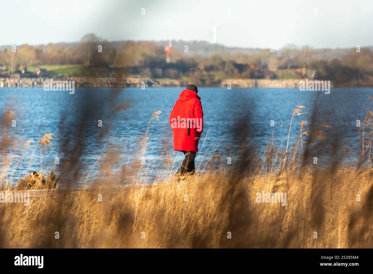 Lone person walking through coastal landscape at the Baltic Sea Stock Photo